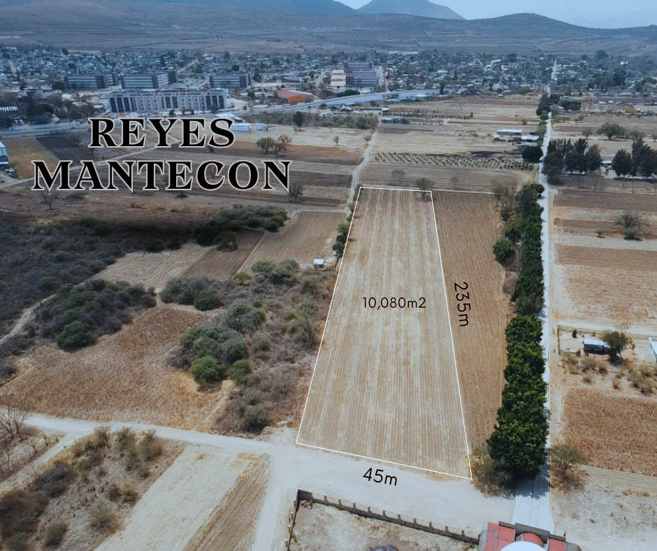 Reyes Mantecón. San Bartolo Coyotepec.