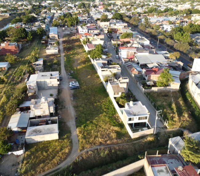 las moras san antonio de la cal