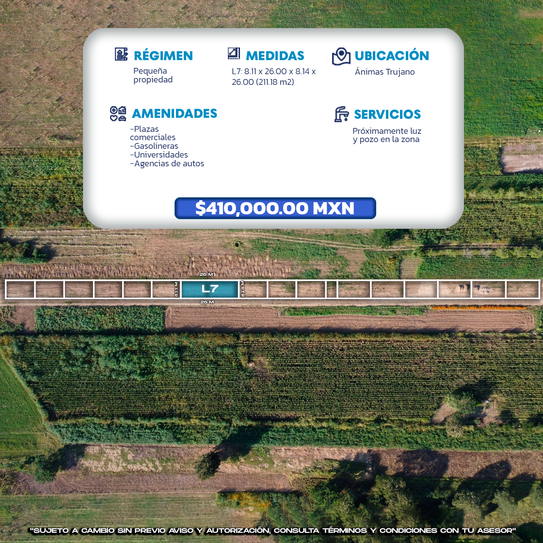información del lote