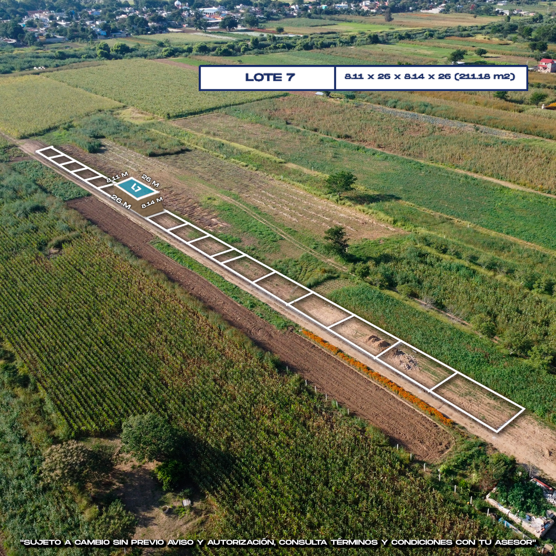 disponibilidad de lote