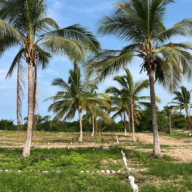 D5E1F166-70D3-4F28-9271-789DA744FBDE