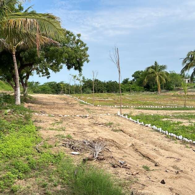 DBEBC62E-2E8B-439B-AC2C-E7468E06C124